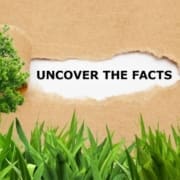 Fun Lawn and Landscape Facts Fun Lawn and Landscape Facts