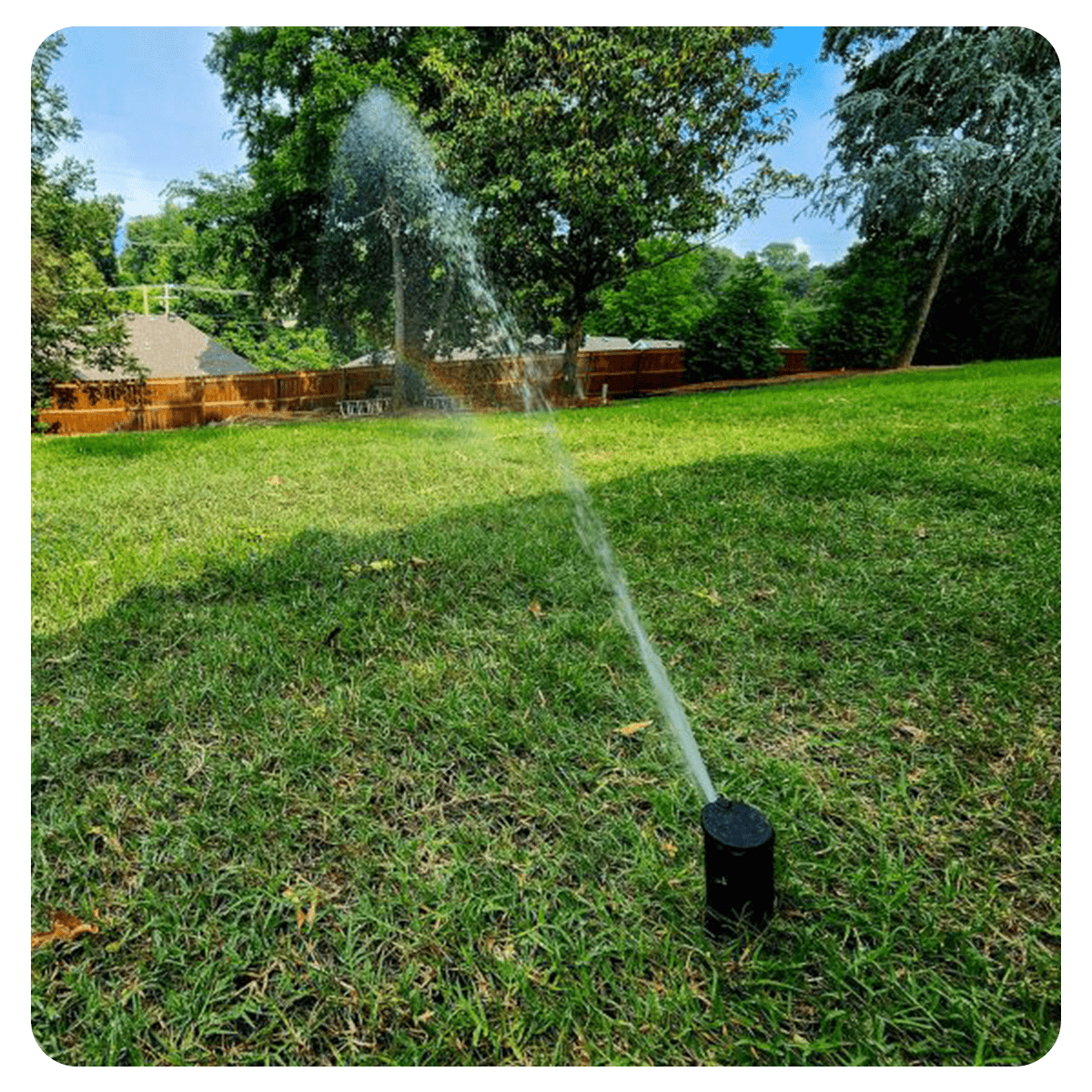 Sprinkler