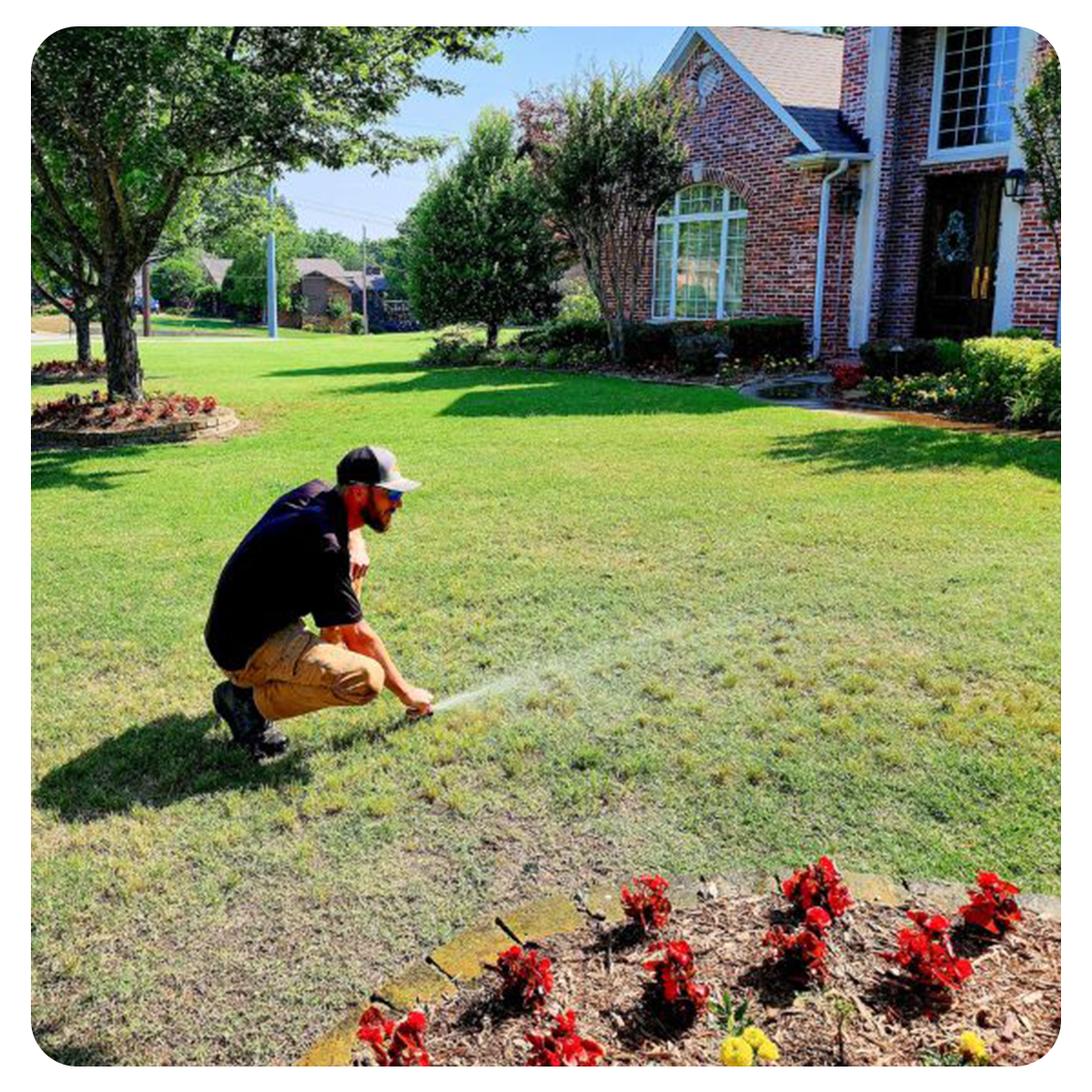 irrigation