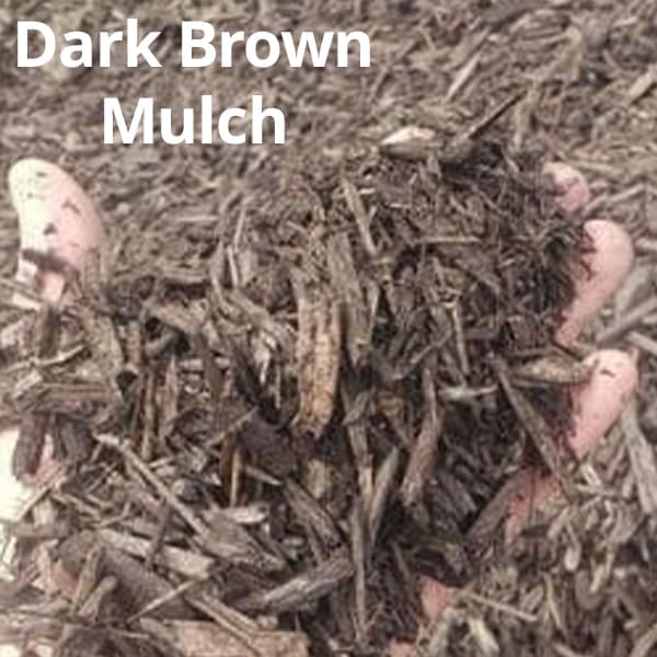 dark brown